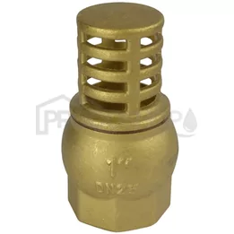 Sací koš se spětnou klapkou 3/4" celomosaz