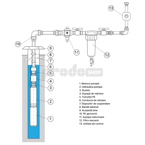 Diagrame de cablaj: Pompă submersibilă Dive AUTO 1200
