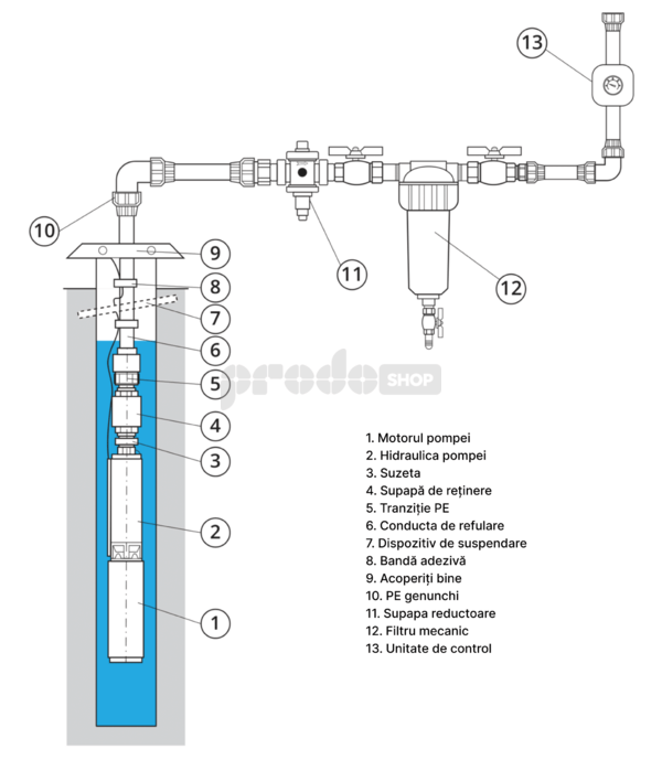 Diagrame de cablaj: Pompă submersibilă Dive AUTO 1200